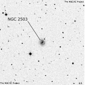 NGC 2503