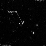NGC 202