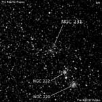 NGC 231