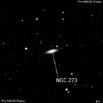 NGC 273