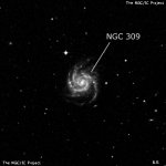 NGC 309
