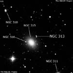 NGC 313