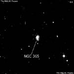 NGC 365