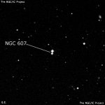 NGC 607