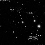 NGC 1017