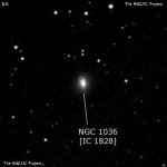 NGC 1036