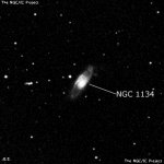 NGC 1134