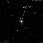 NGC 1137