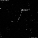 NGC 1157