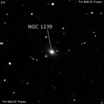 NGC 1239