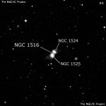 NGC 1516