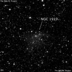NGC 1919