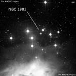 NGC 1981
