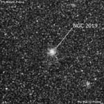 NGC 2019