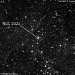 NGC 2021