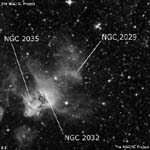 NGC 2029