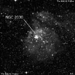 NGC 2030