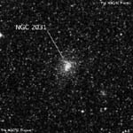 NGC 2031