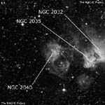 NGC 2040