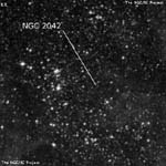 NGC 2042