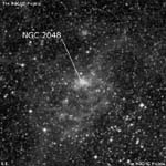 NGC 2048