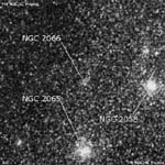 NGC 2066