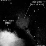 NGC 2067
