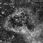 NGC 2081