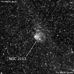 NGC 2113