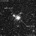 NGC 2136