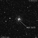 NGC 2173