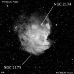 NGC 2175