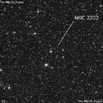 NGC 2202