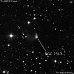 NGC 2313
