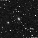NGC 2333