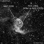 NGC 2361