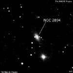 NGC 2894