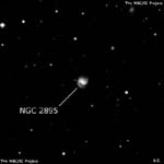 NGC 2895