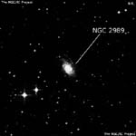 NGC 2989