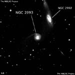 NGC 2993