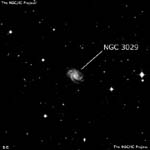 NGC 3029
