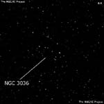 NGC 3036