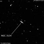 NGC 3134