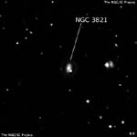 NGC 3821