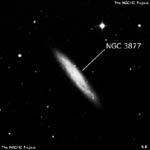 NGC 3877