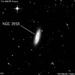 NGC 3955