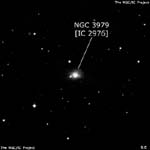 NGC 3979