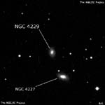 NGC 4229