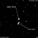 NGC 4231