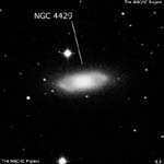 NGC 4429